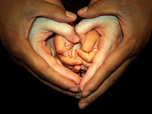 biracial-heart-hands